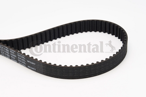 Timing Belt